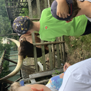 Vesmírné putování (22. - 26. 7. 2024) (22).jpeg