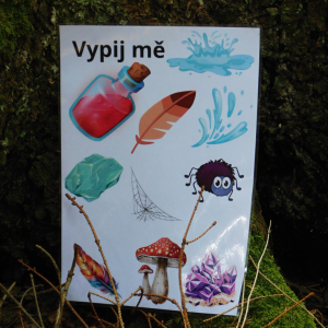 V říši divů (12.-20.7.2025, Hojsovka) (12).JPG