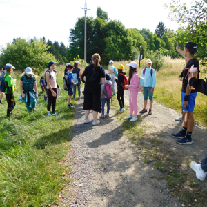 V říši divů (12.-20.7.2025, Hojsovka) (13).JPG