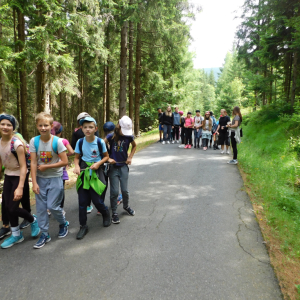 V říši divů (12.-20.7.2025, Hojsovka) (18).JPG