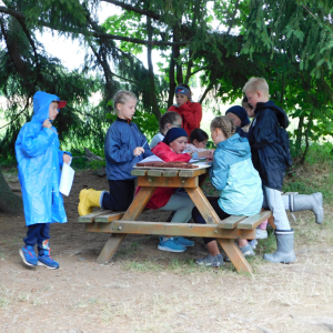 V říši divů (12.-20.7.2025, Hojsovka) (23).JPG
