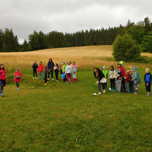 V říši divů (12.-20.7.2025, Hojsovka) (28).JPG